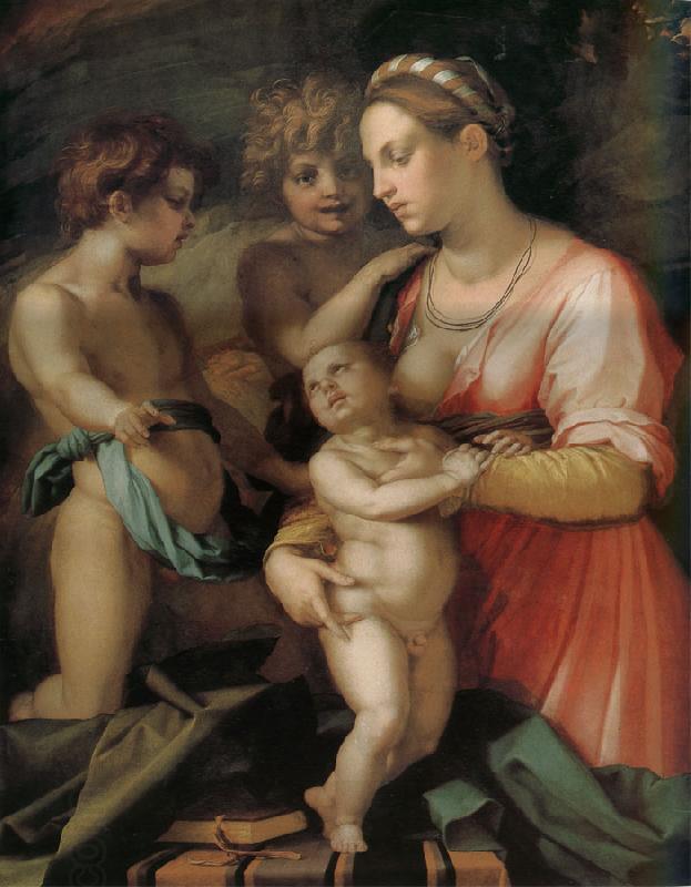 Andrea del Sarto Kind oil painting picture